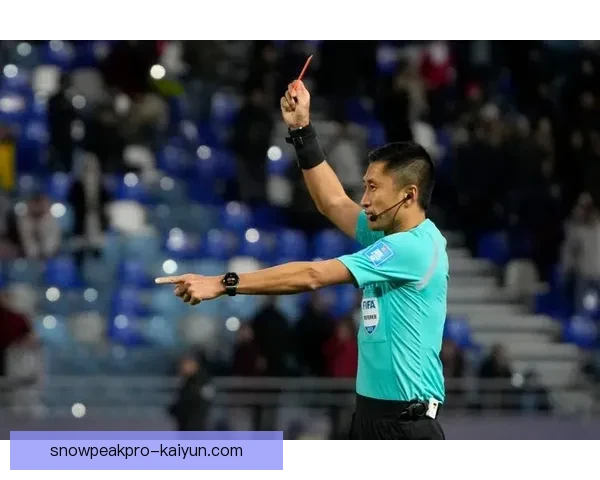 足球主裁判