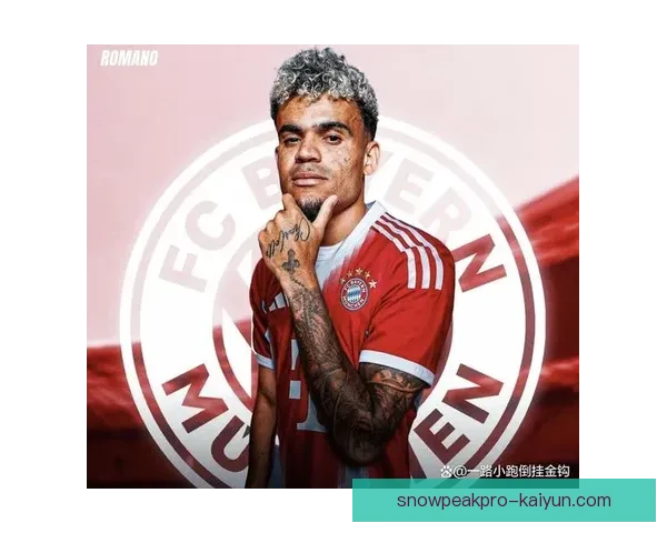 德甲球队转会代表状态回暖，夏季转会窗引发市场关注