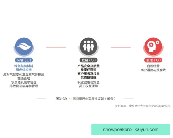 博阿维斯塔战术解析展现球队持续提升的竞争力与表现动态